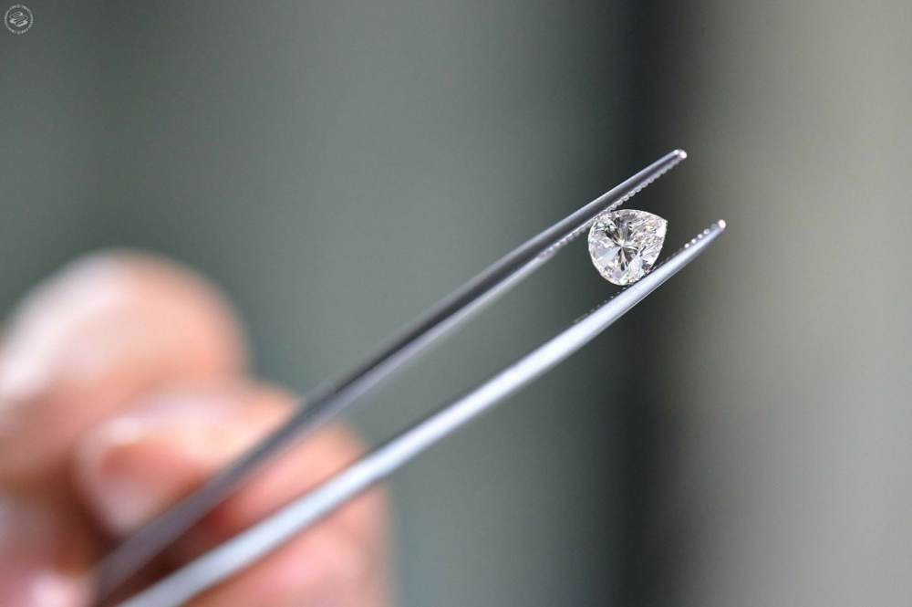 Zero Environmental and Social Impact