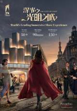 SAGA City of Light - Immersive Walk-through Experience