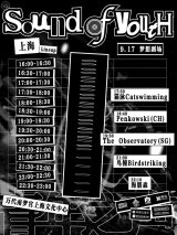 Sound of Youth (9.17): Hiperson, Birdstriking, The Observatory (SG), Penkowski (CH), Catswimming