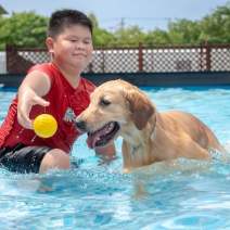 BuddyDog Deals: Training, Boarding, and More