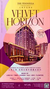 Velvet Horizon Rooftop Party