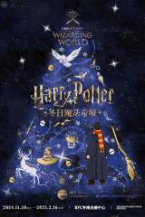 Harry Potter-Inspired Christmas Season