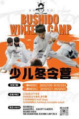 Bushido Winter Martial Art Camp
