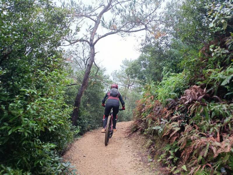 Dapengshan • MTB & Hike