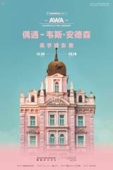 Accidentally Wes Anderson