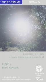 Rinko Kawauchi 'a faraway shining star, twinkling in hand'