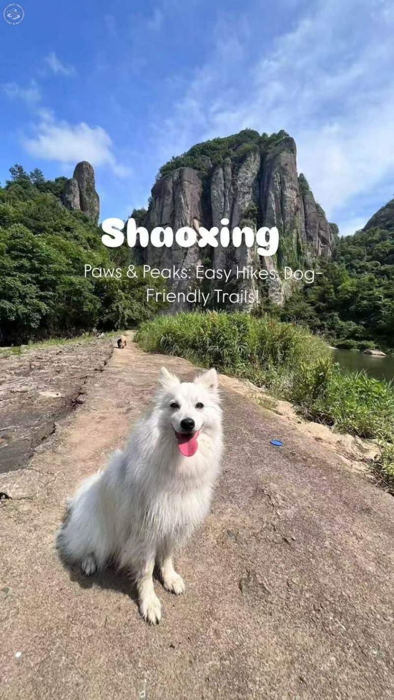 [2 Day Trip: Shaoxing] Explore Nature with Your Pup