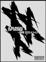 A Bunch of Noise 2025