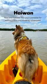 [1 Day Trip: Haiwan Forest Park] Nature Walk and Kayaking With Your Pup