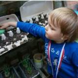 Magnolia Kindergarten Open Days