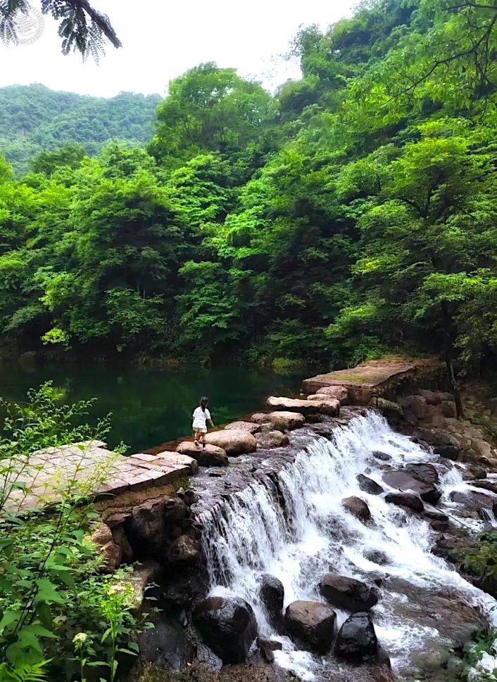 [3 Day Trip: Tonglu] Dog Friendly Hiking Getaway