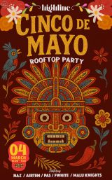 Cinco de Mayo Rooftop Party