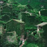 [3 Day Trip: Gouqi Island] Abandoned Village Exploration