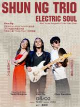 Shun Ng Trio - Electric Soul