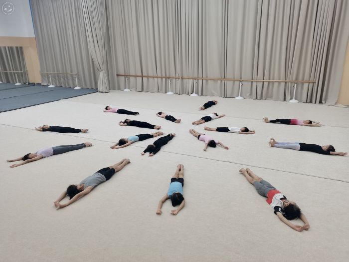 Vera International Rhythmic Gymnastics Club