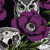 Fayzz - Patch 2025 New Album Tour