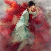 A Dream of Red Mansions by The National Ballet of China