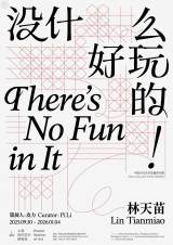 Lin Tianmiao: There's No Fun In It!