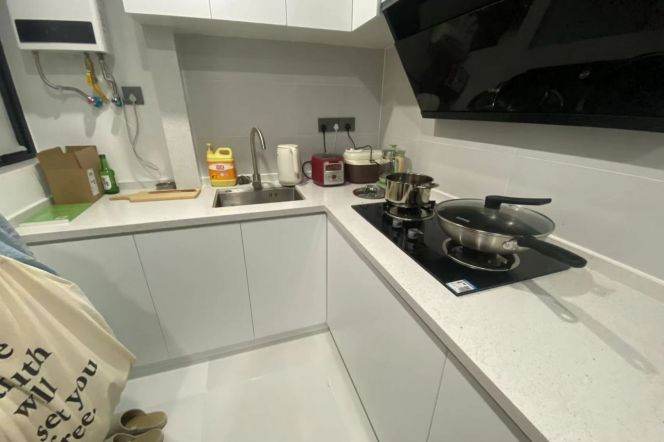 1 br near L2/L3/L4 zhongshan park staton