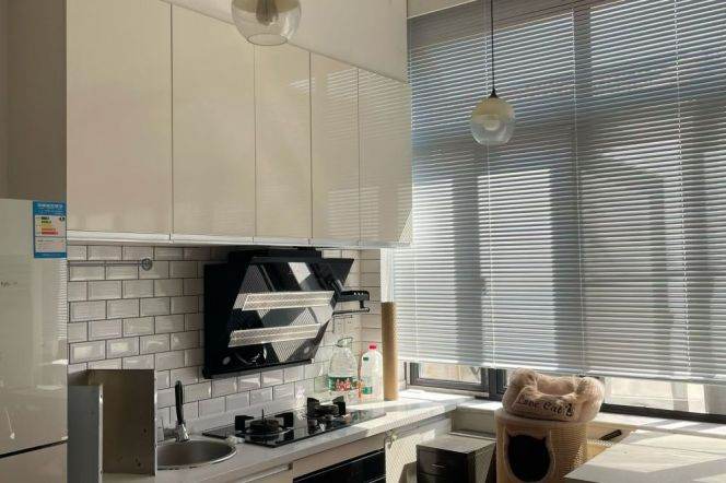 Good lighting 1br near Xintiandi/South Shaanxi Road