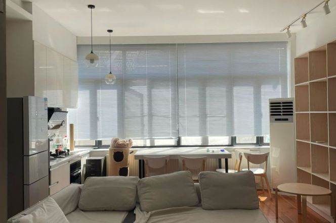 Good lighting 1br near Xintiandi/South Shaanxi Road
