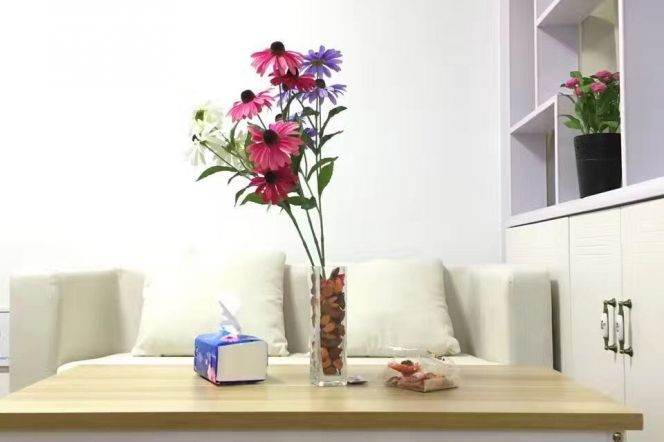 Cozy 1bdr apt Furnished Oven L10/11