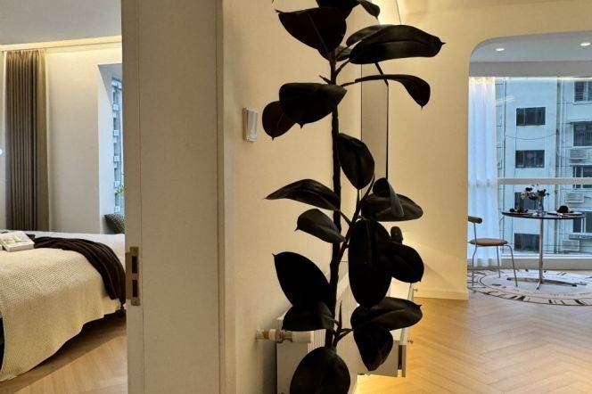 Well-decorated 1Br Apartment @ Zhongshan Park/Green compound