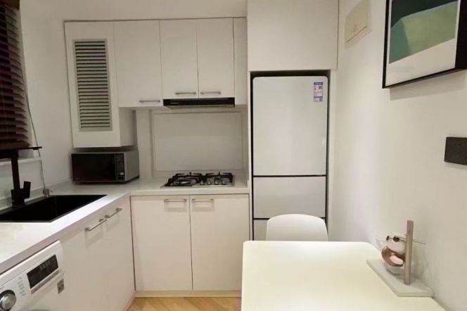 1 br near L1/L14 south huangpi rd station