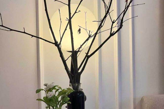 Modern 2Brm With Floor Heating Near Line 11 Shanghai West Railway Station