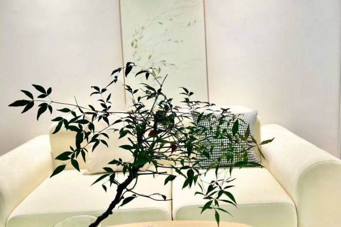 hongqiao rd station one bedroom