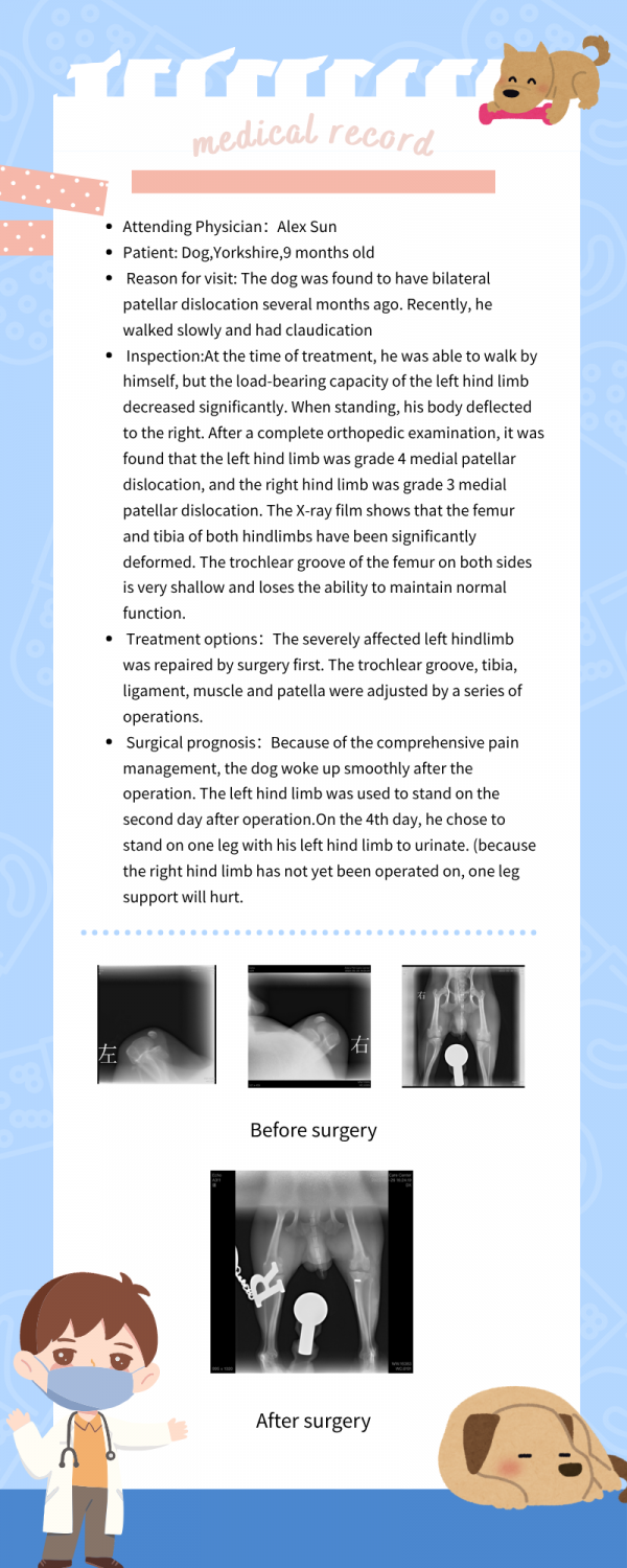 Ada's Veterinary Hospital - 2