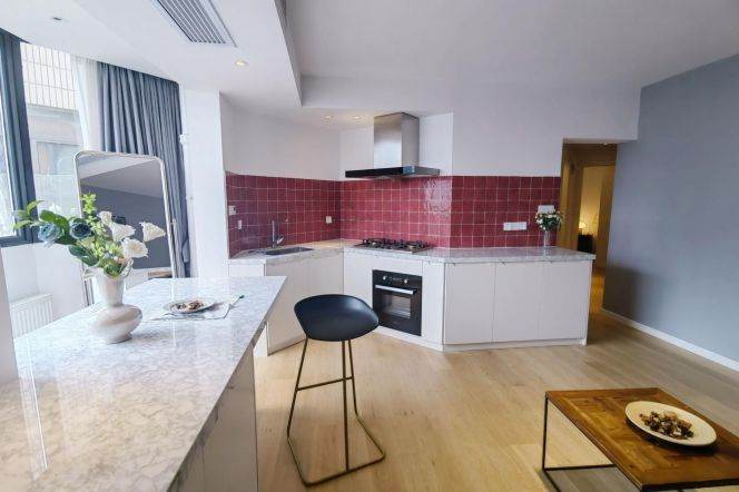 Modern 1+1 br next JiaoTong University ,2 mins walking to L 10/11