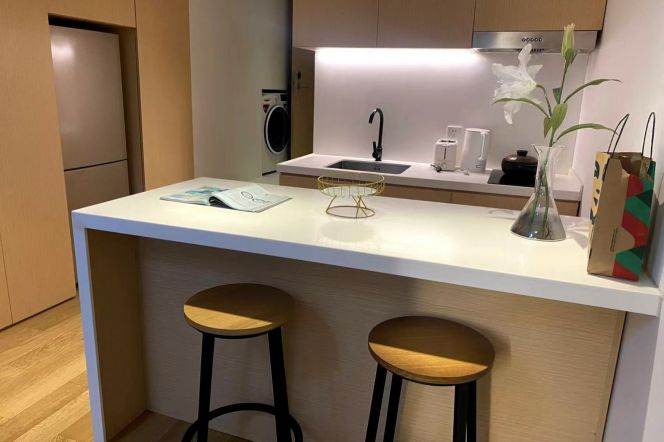 1BR loft near line 9/12 Jia'shan Rd and Jiao'tong Uni can long and short lease