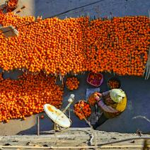 [1 Day Trip: Shilin Village]  Persimmons Hike with Ancient Charm