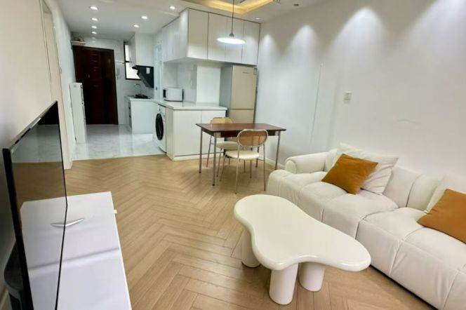 Nice decoration 1br/2living & facing south @Zs Park & Line 2/3/4