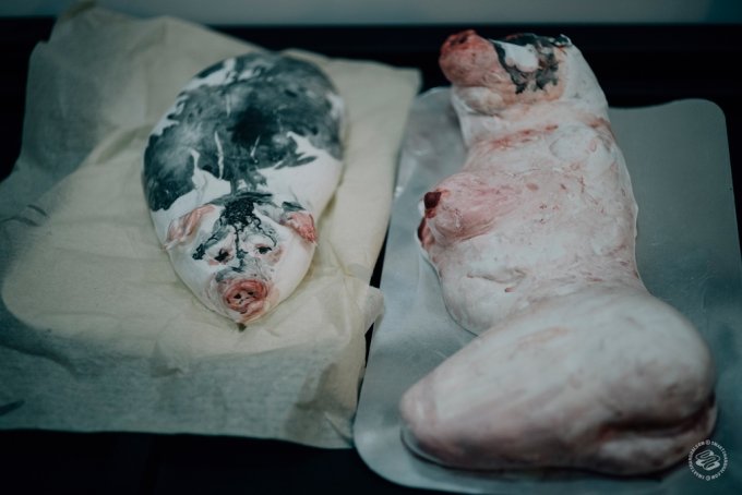 eatingwiththeexperts