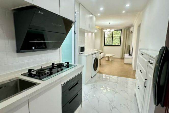 Nice decoration 1br/2living & facing south @Zs Park & Line 2/3/4