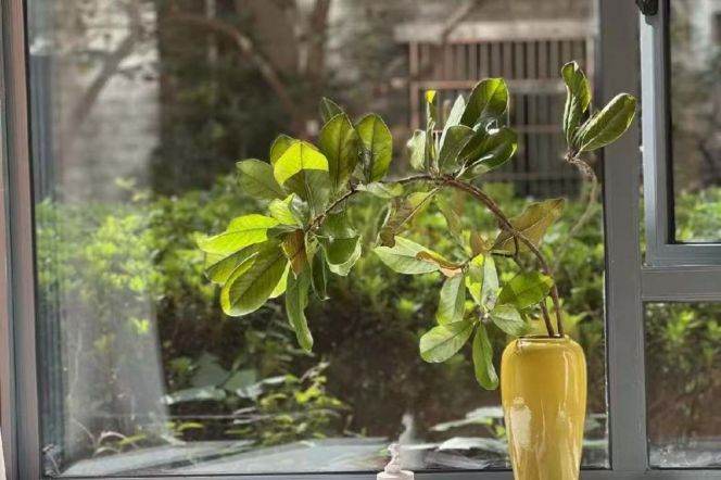 2br+2bathroom apt in Putuo District Near Line 15