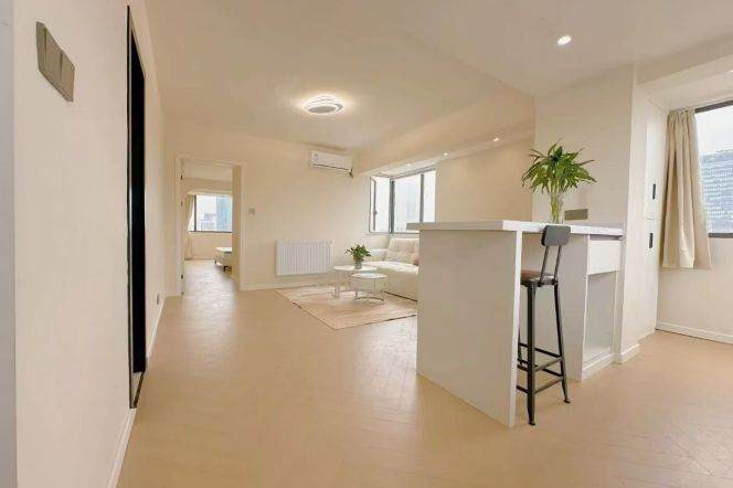 Middle Huaihai rd 1BR apartment