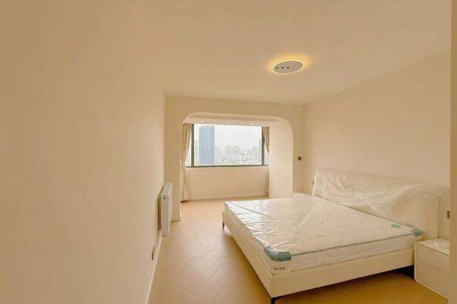 Middle Huaihai rd 1BR apartment