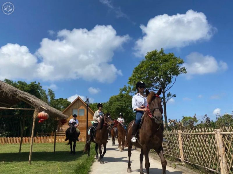 [1 Day Trip: Hengsha Island] Horseback Riding & Organic Farm Escape