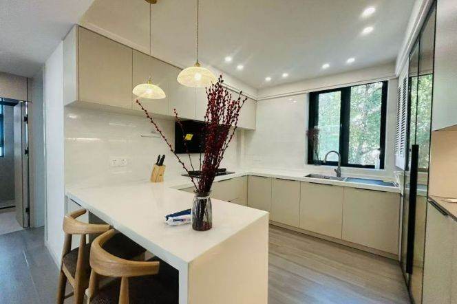 Nice 2brs/2living & elevator/balcony @Suzhou Creek & Zs Park