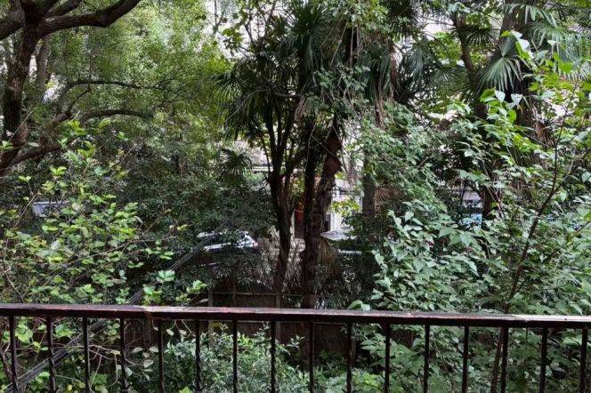 Greeny view 2br with big Terrace near Line 10/11 Jiaotong University St.