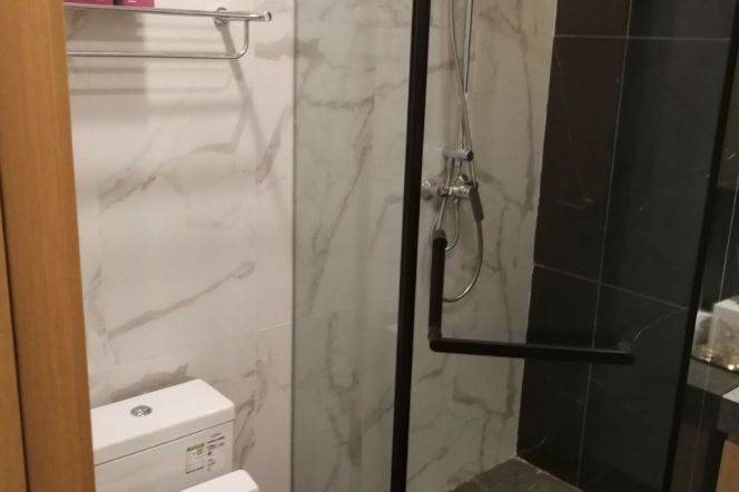 High quality 2br serviced apt in Pudong Century Avenue L2,4,6,9