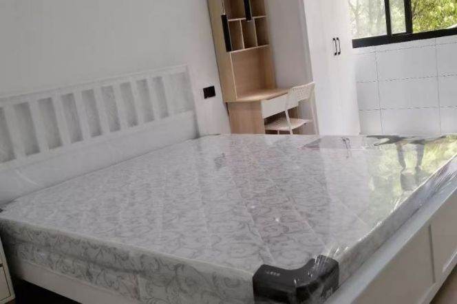 Jiaotong University 1BR apartment