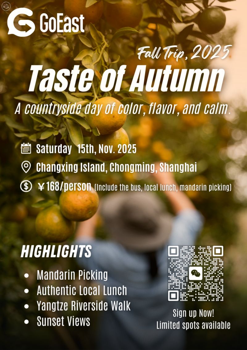 GoEast Mandarin Fall Day Trip Countryside Escape to Changxing Island
