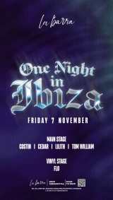 One Night In Ibiza