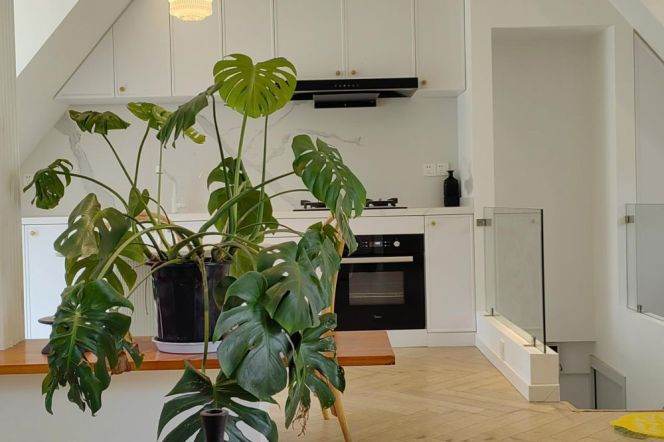 Unique & Modern 1 br with 2 terrace +floor heating in Old XuHui, easy to XuJiaHui + JiaoTong U 