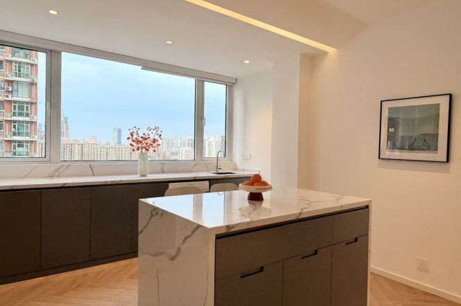 modern 3br floor heating big living room modern furniture in Zhong shan park Raffles city 
