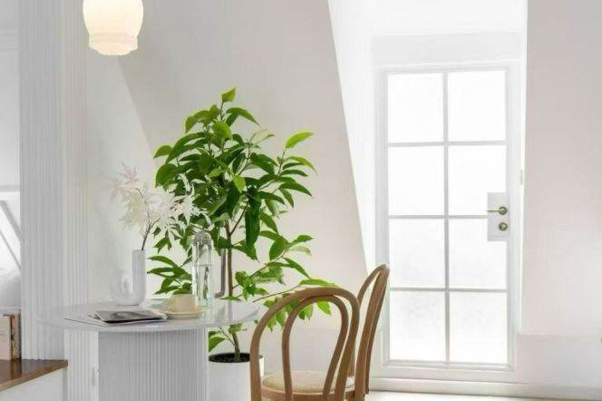 Special 1br apt with double terraces@ jiaotong university